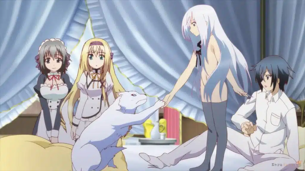 15 Anime Like Infinite Stratos