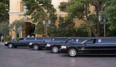 How Much Does It Cost to Buy a Limo