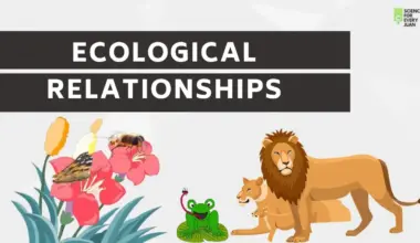 Types of Ecological Relationships