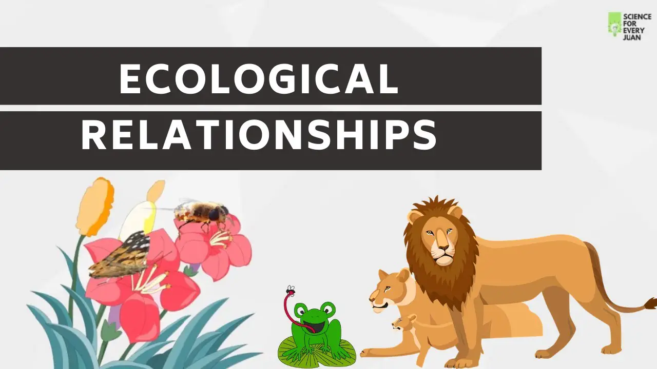 Types of Ecological Relationships
