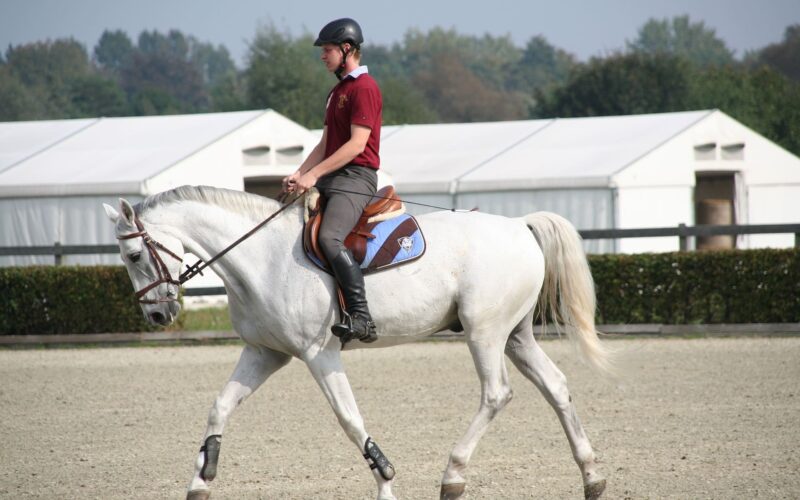 Different Types of Horse Riding Sports