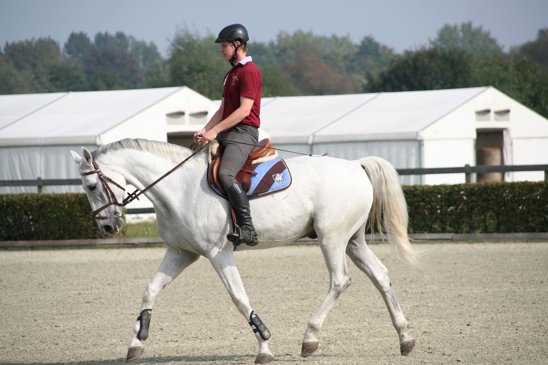 Different Types of Horse Riding Sports