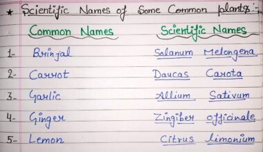 Botanical Name vs Scientific Name