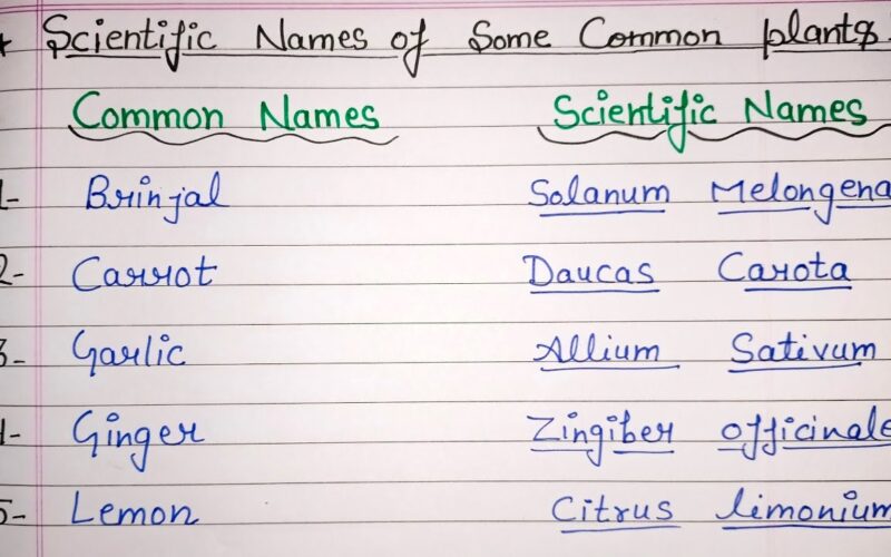 Botanical Name vs Scientific Name