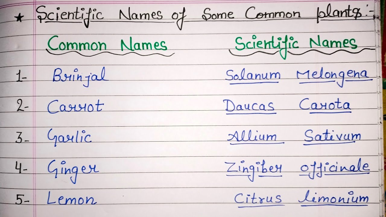 Botanical Name vs Scientific Name