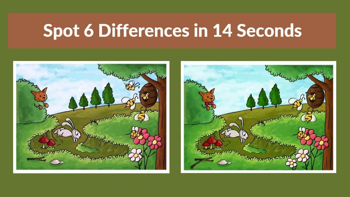 difference between photo and image