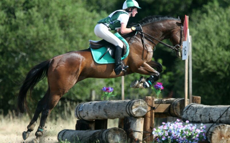 Different Types of Sports Saddles