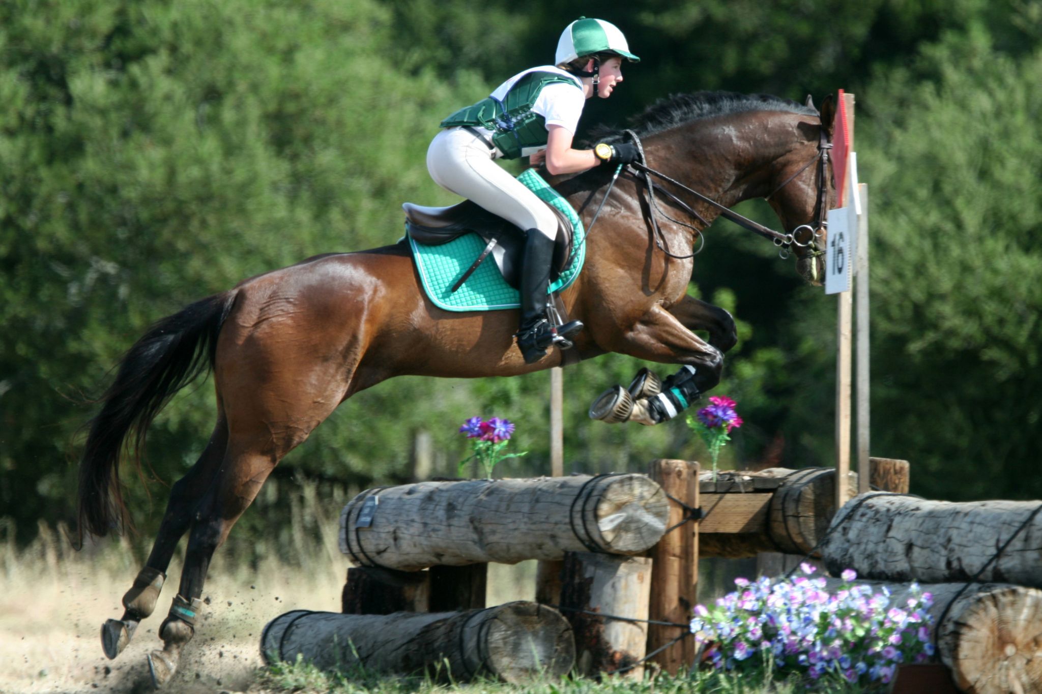 Different Types of Sports Saddles