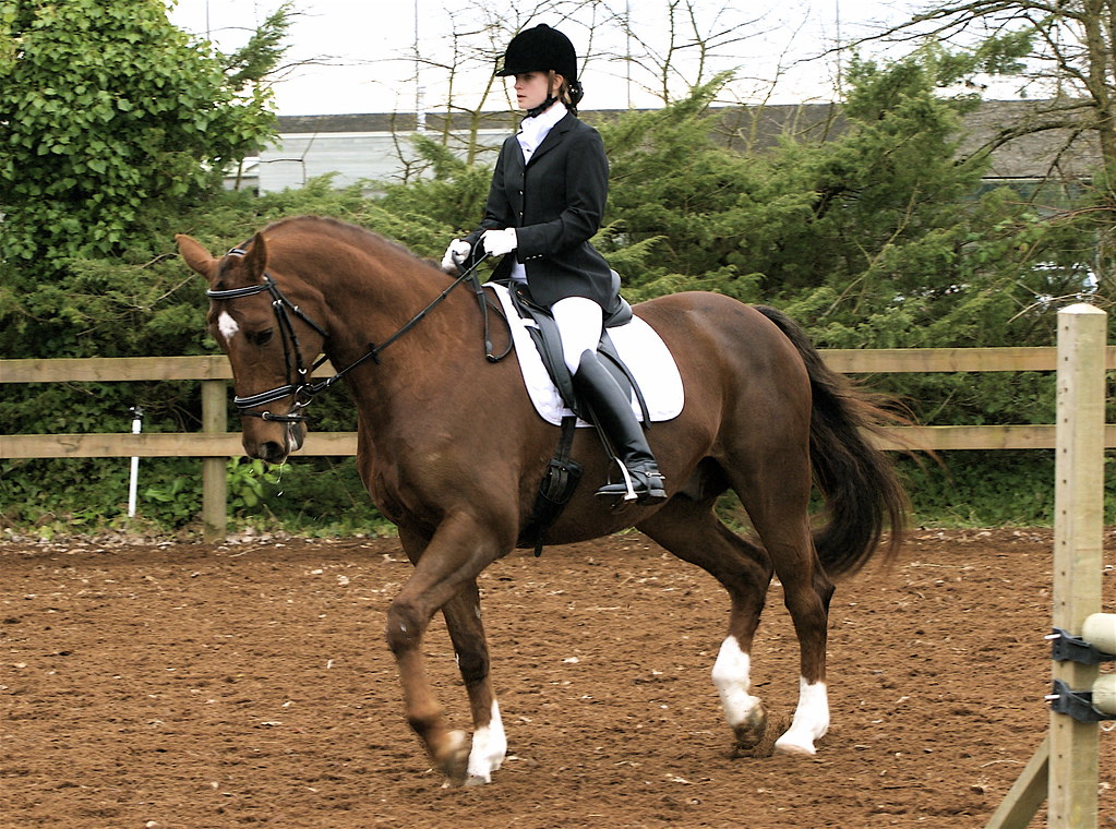 Dressage