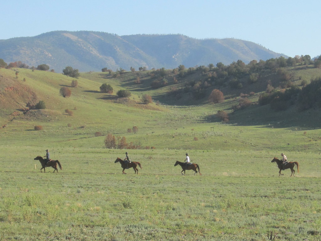Endurance Riding