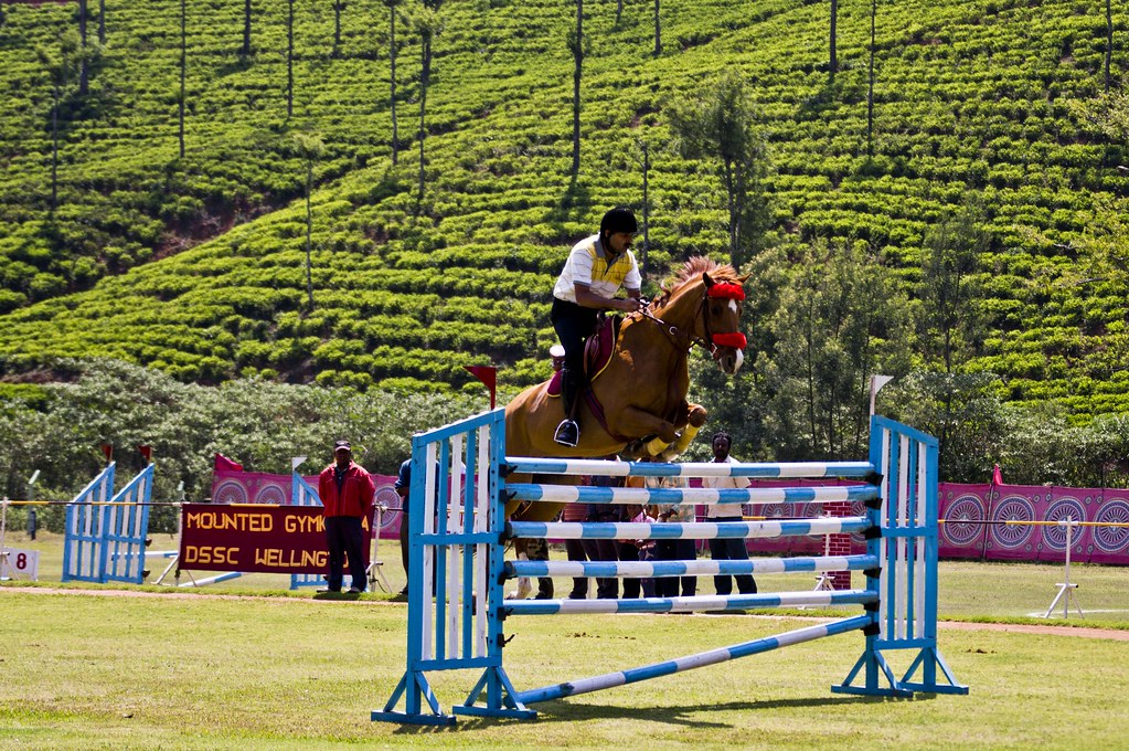 Show Jumping