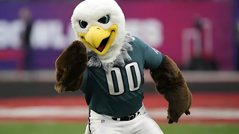 NFL Teams with Bird Mascots: Soaring High in the League